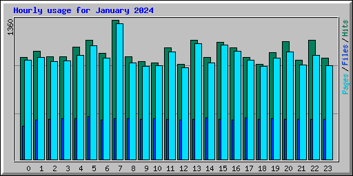 Hourly usage for January 2024