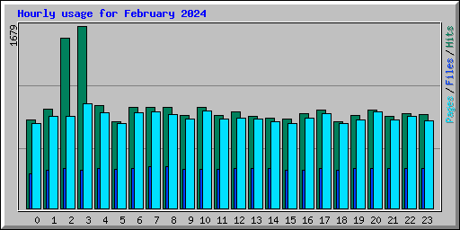 Hourly usage for February 2024