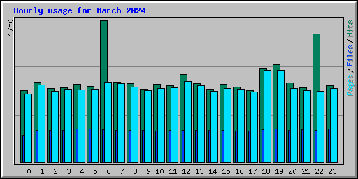 Hourly usage for March 2024