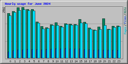 Hourly usage for June 2024