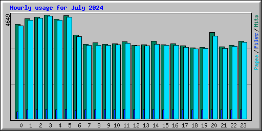 Hourly usage for July 2024