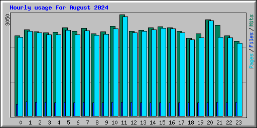 Hourly usage for August 2024