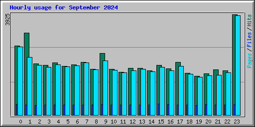 Hourly usage for September 2024